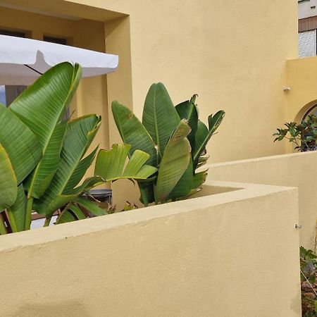 ファロCasa Da Acoteiaアパートメント エクステリア 写真
